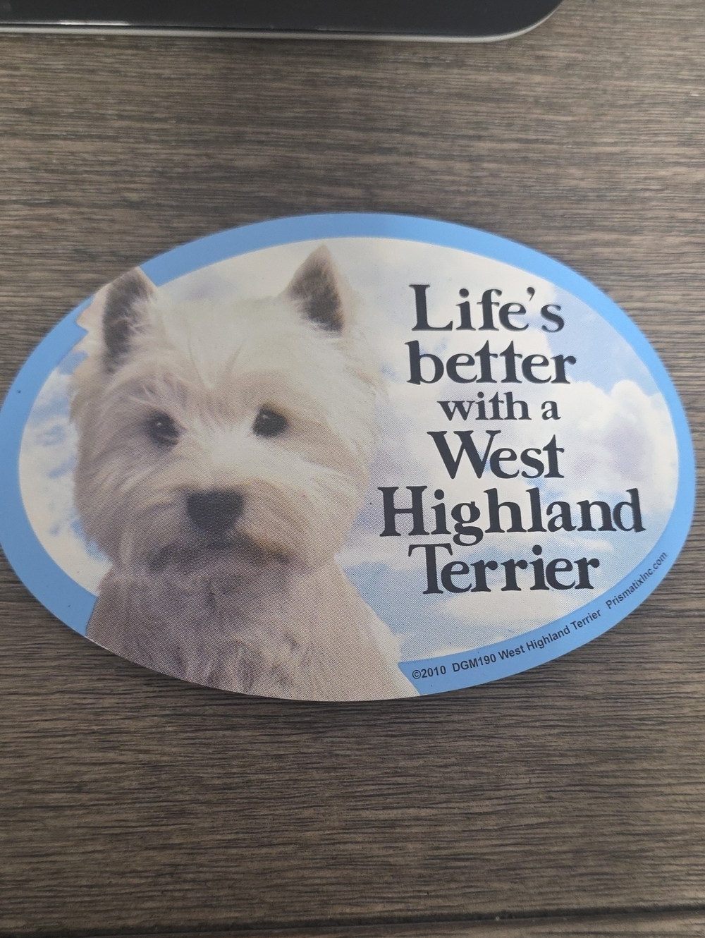 FUN MAGNET PET DECALS - Picture 1 of 2